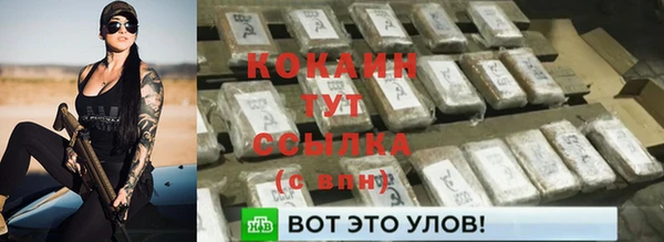МДПВ Абаза