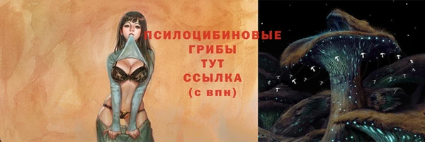 гашик Алзамай