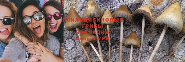 гидропоника Алексин